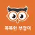 smartowl 똑똑한부엉이