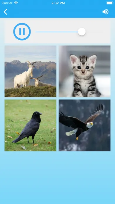 Animal Sounds for Kids Lite! Screenshots