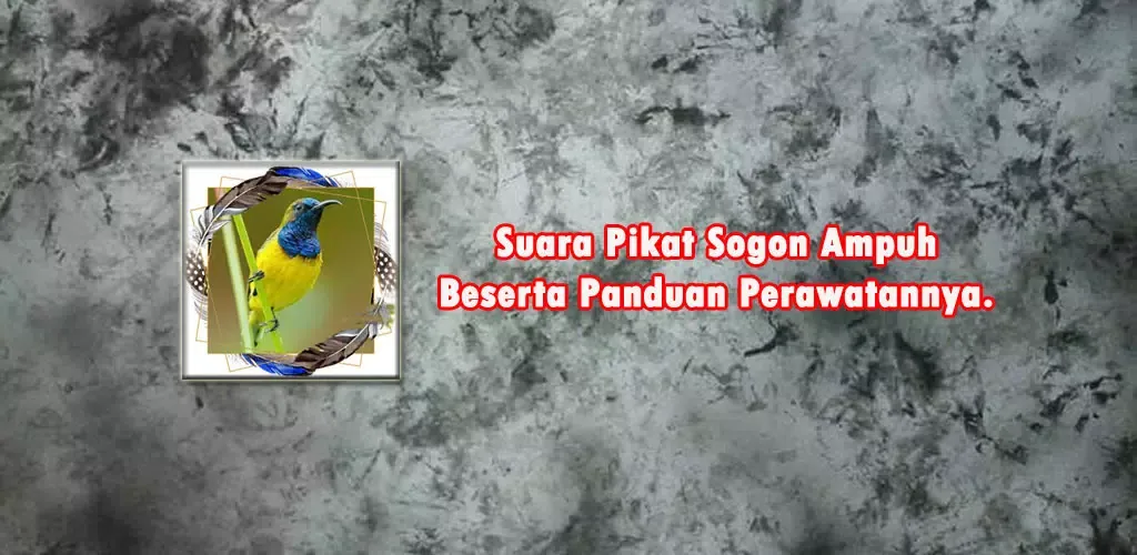 Suara Pikat Sogon Ampuh স্ক্রিনশট