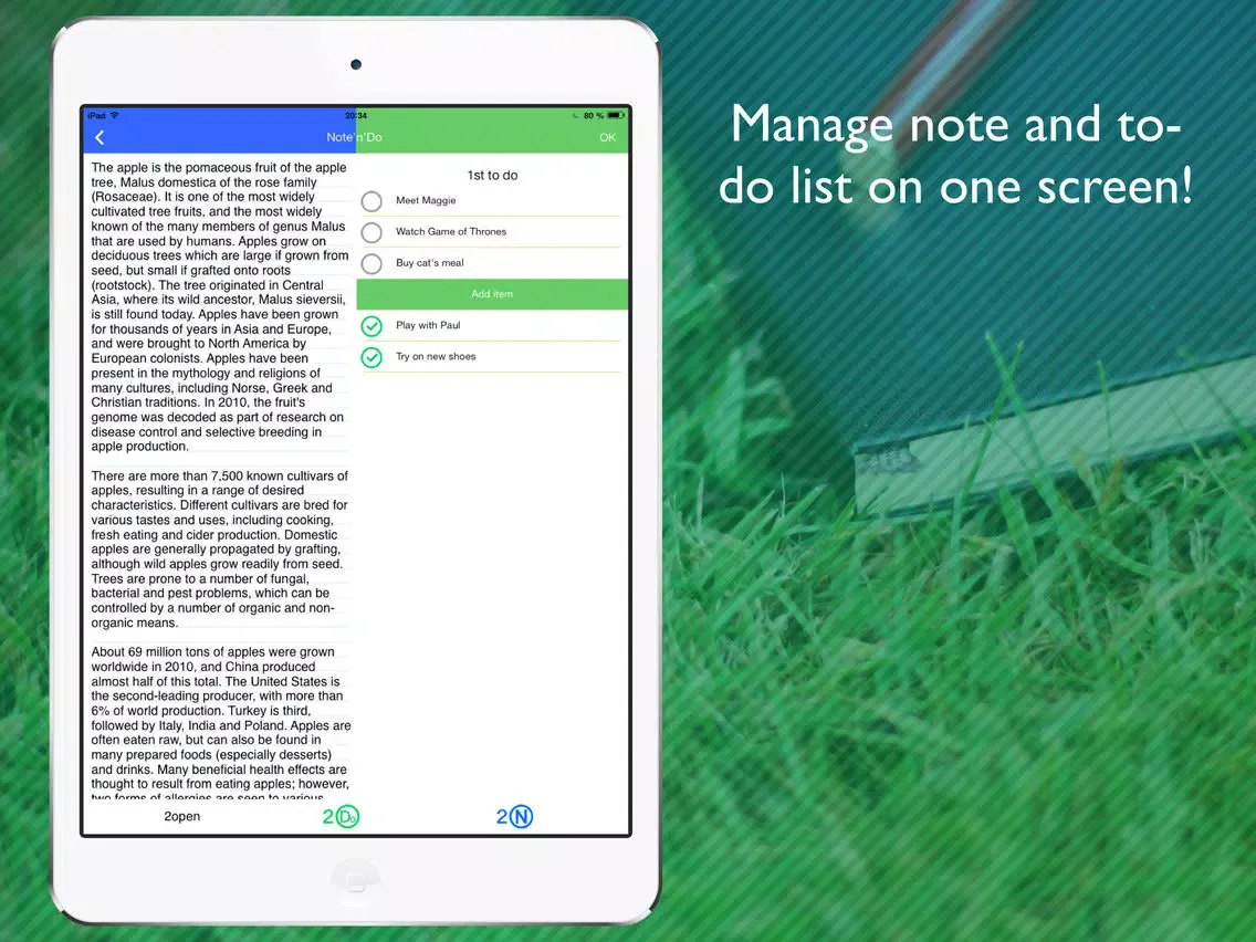 Скриншоты Note & Do - creating and editing two notes with to-do lists at the same time on one screen iPad 