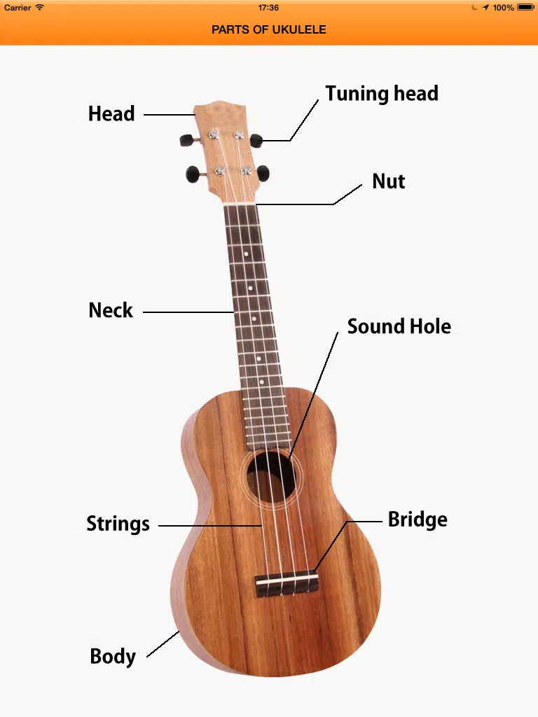 UkuleleMethod iPad  Screenshots