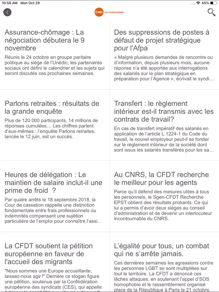 CFDT CE NORMANDIE iPad  スクリーンショット