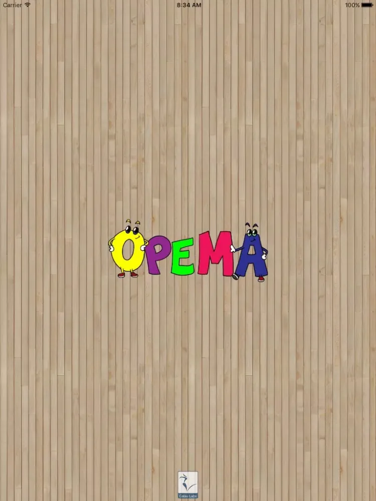 تصاویر Opema iPad 
