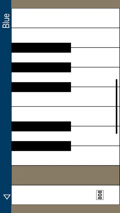 Synth Bass Pro应用截图