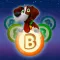 Brasingo