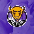 The Bison Radio The Bison Radio