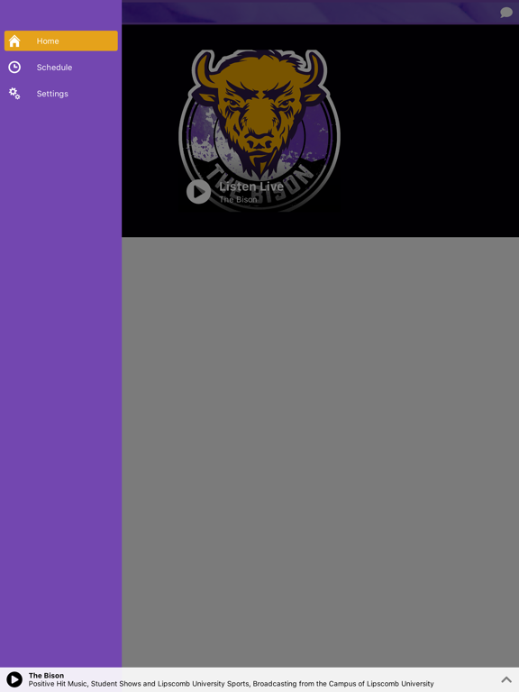 Zrzuty ekranu The Bison Radio iPad 