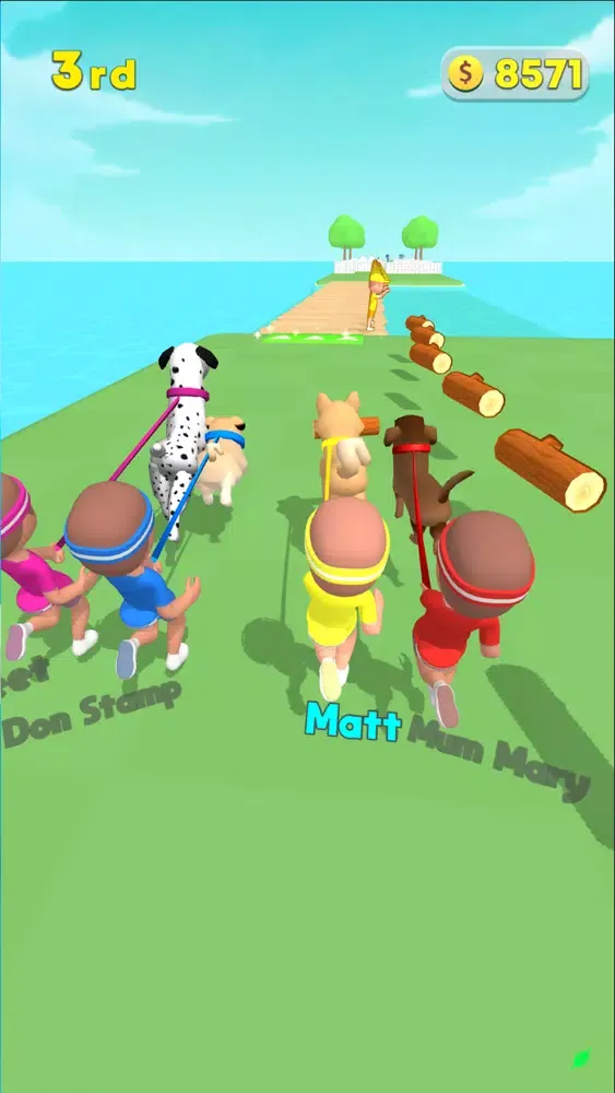 تصاویر Dog Stick Run