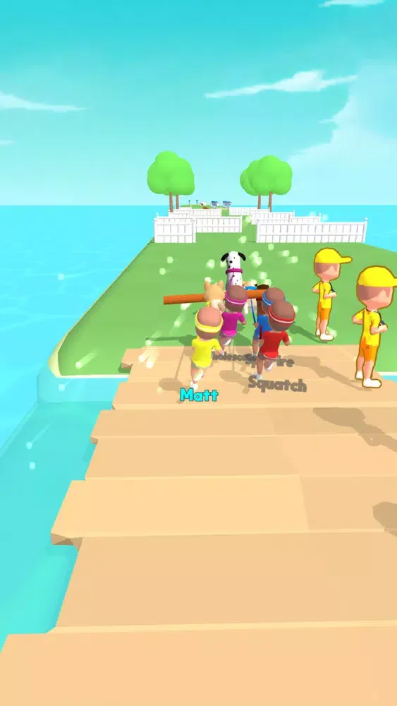 تصاویر Dog Stick Run