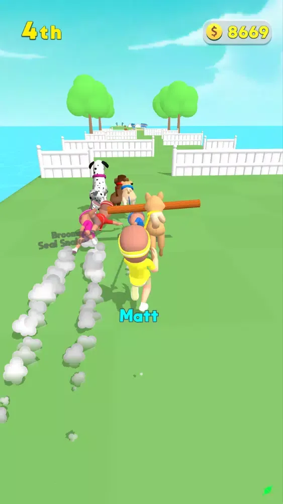 تصاویر Dog Stick Run