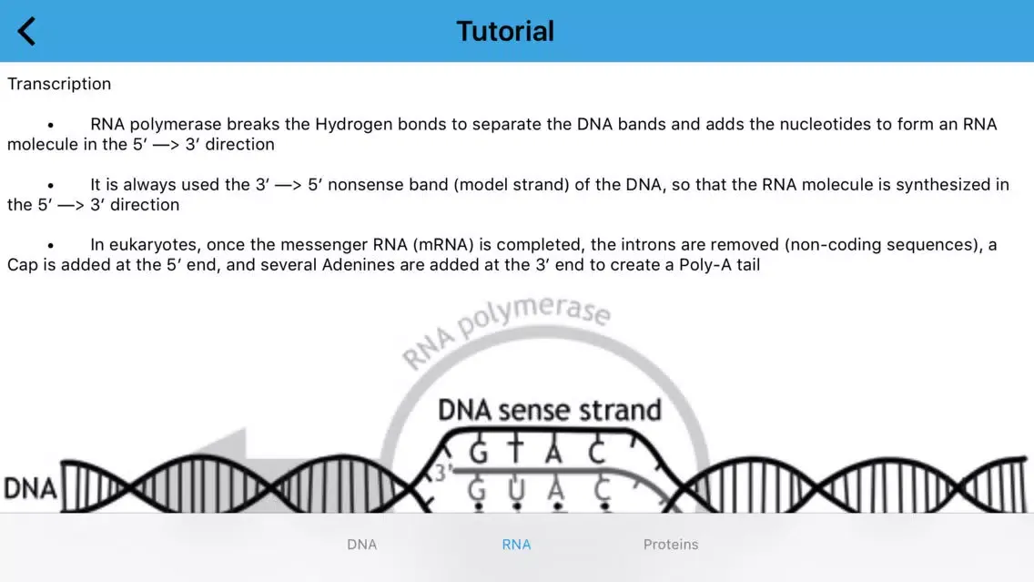 Скриншоты Biology Dogma