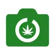420 App - Daily 420 Photo App
