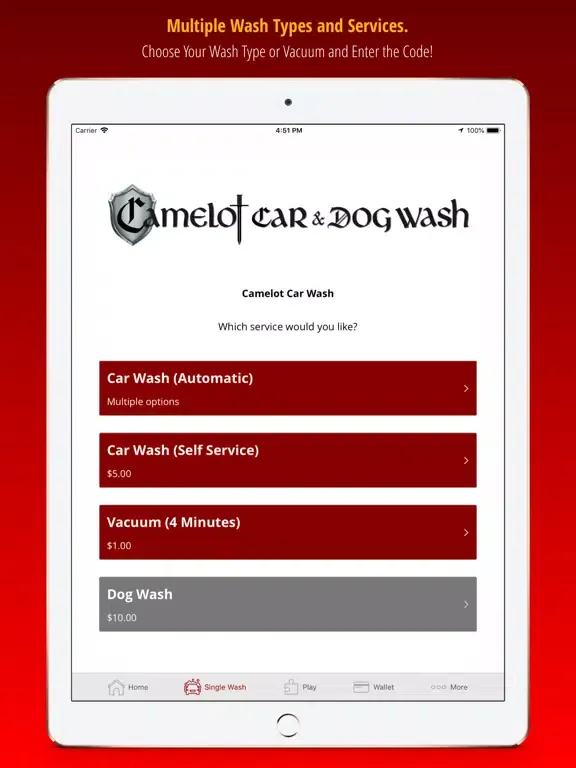 Camelot Car and Dog Wash iPad 应用截图