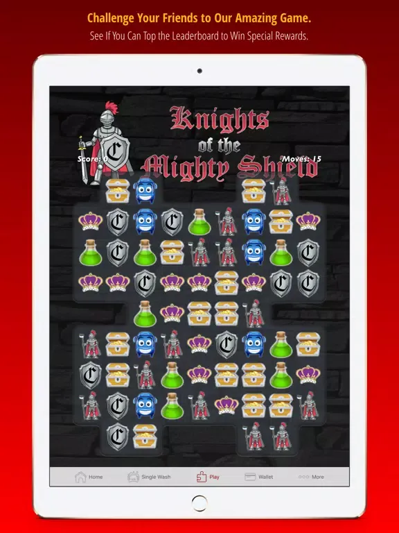 Camelot Car and Dog Wash iPad 应用截图
