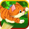 Bouncy Cat