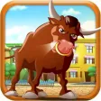 Bull Running Street : Racing against Kid Friends during Day Bull Running Street : Racing against Kid Friends during Day
