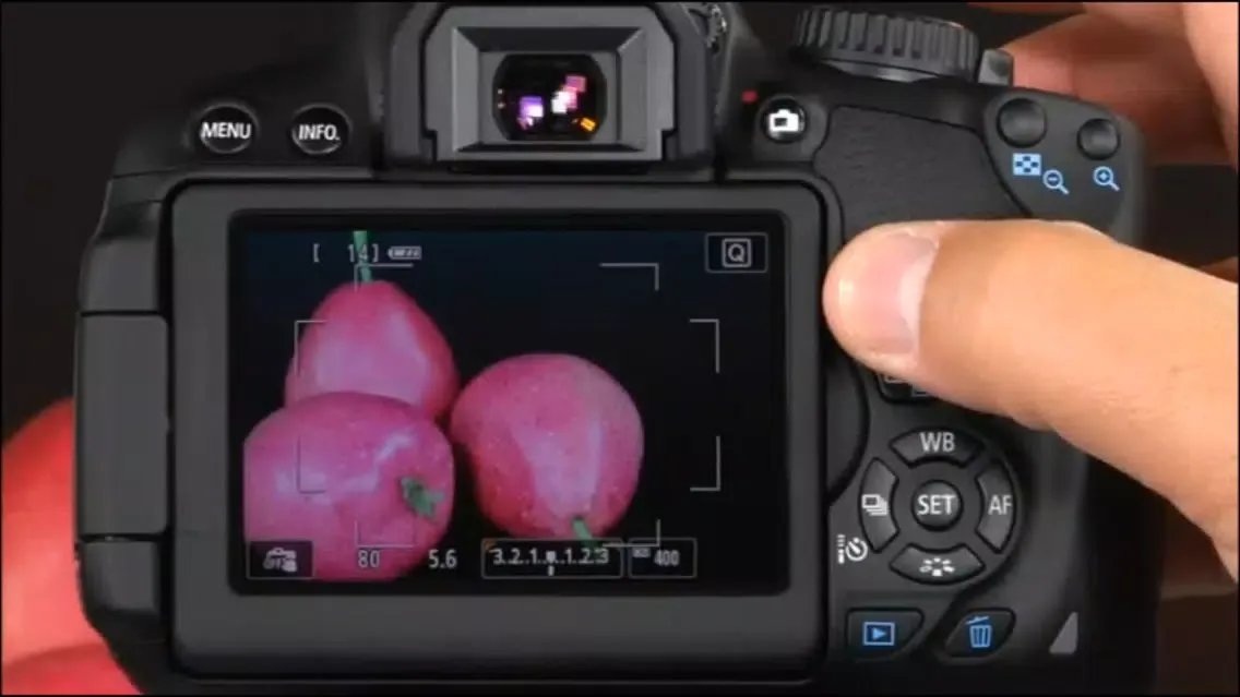 QuickPro for Canon T4i HD স্ক্রিনশট
