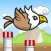 Birdio