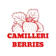 Camilleri Berries