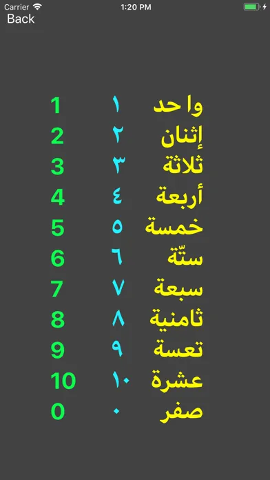 Modern Standard Arabic Screenshots