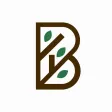 Branch Out -Find IRL Community