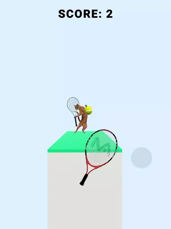 ภาพหน้าจอของ Cat Tennis 3D iPad 