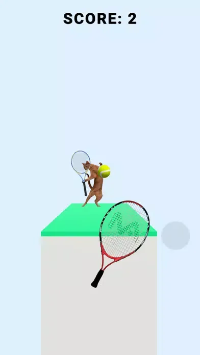 ภาพหน้าจอของ Cat Tennis 3D