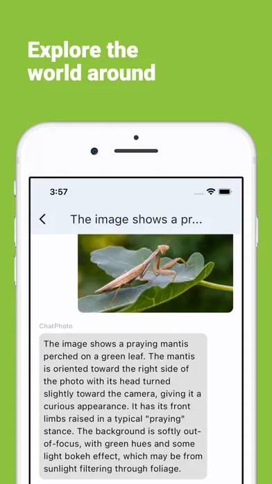 ChatPhoto - AI Photo Chatbot应用截图