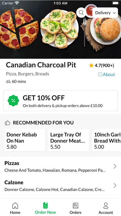 Canadian Charcoal Pit.应用截图