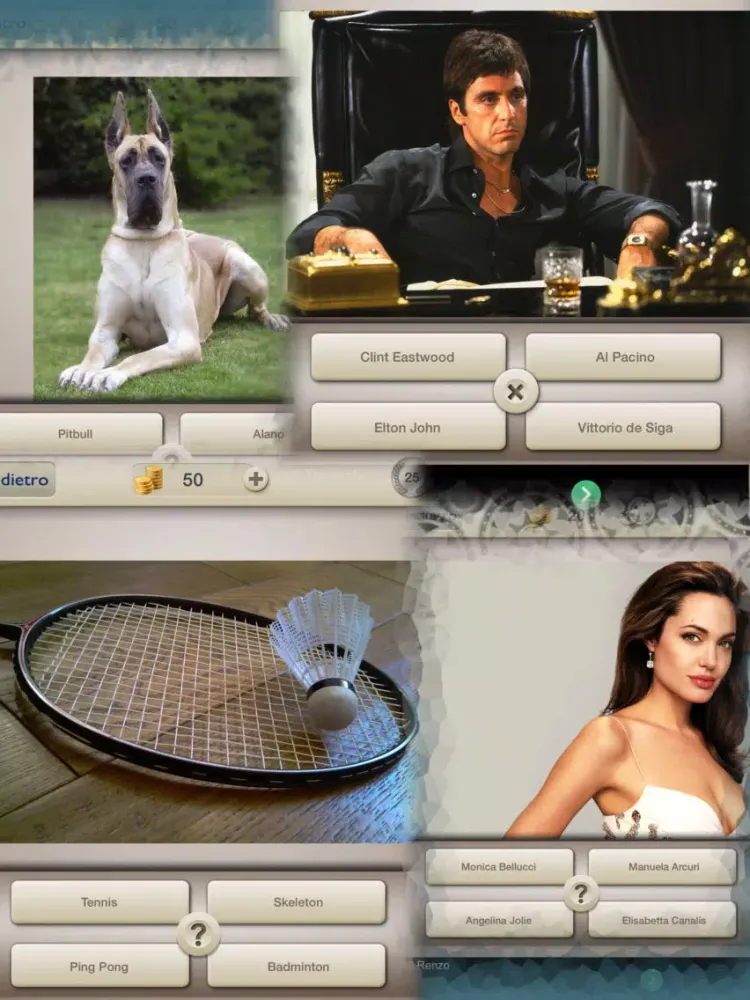 Sallo! IL Foto QUIZ - Se non lo sai Sallo! iPad  スクリーンショット