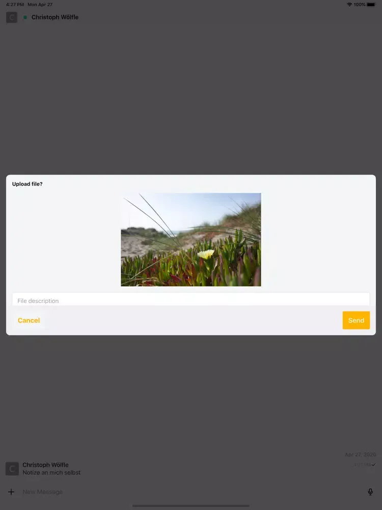 Canary Works iPad 应用截图