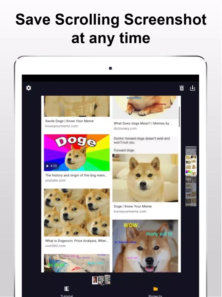 Скриншоты LongShot- Scrolling Screenshot iPad 