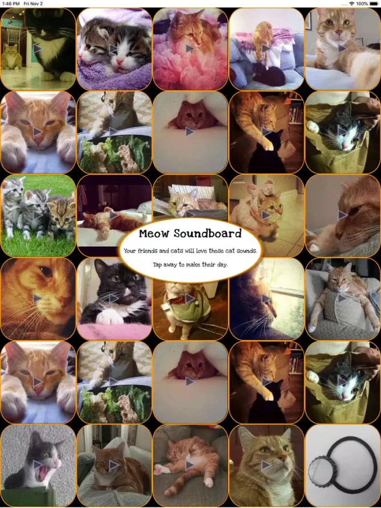 Capturas de tela do Meow Soundboard - Cat Sounds iPad 