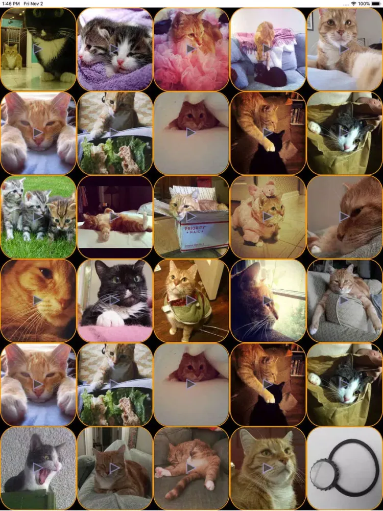 Capturas de tela do Meow Soundboard - Cat Sounds iPad 