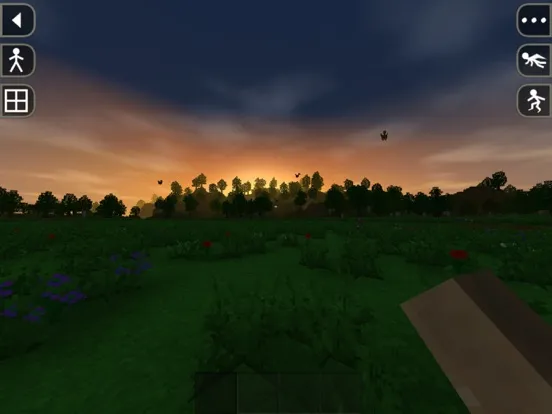 Survivalcraft iPad  スクリーンショット