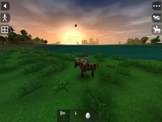 Survivalcraft iPad  スクリーンショット