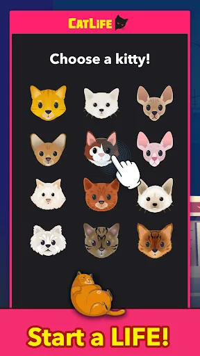 BitLife Cats - CatLife Screenshots