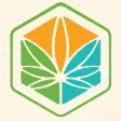 Cannabis News Box