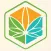 Cannabis News Box