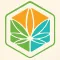 Cannabis News Box
