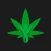 Cannaland México