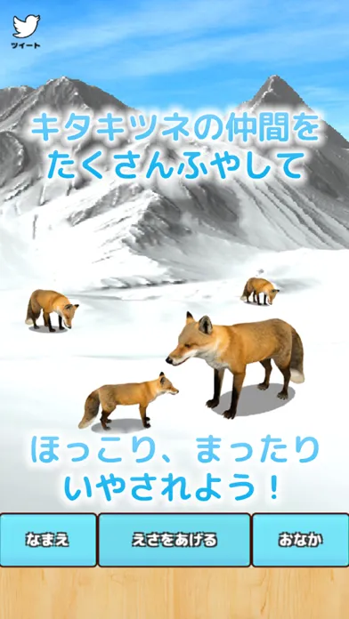 Cute Fox Healing Life স্ক্রিনশট