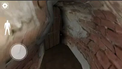 Capturas de tela do Psychopath Escape : Butcher
