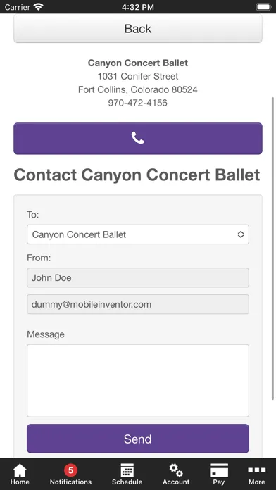 Tangkapan skrin Canyon Concert Ballet School