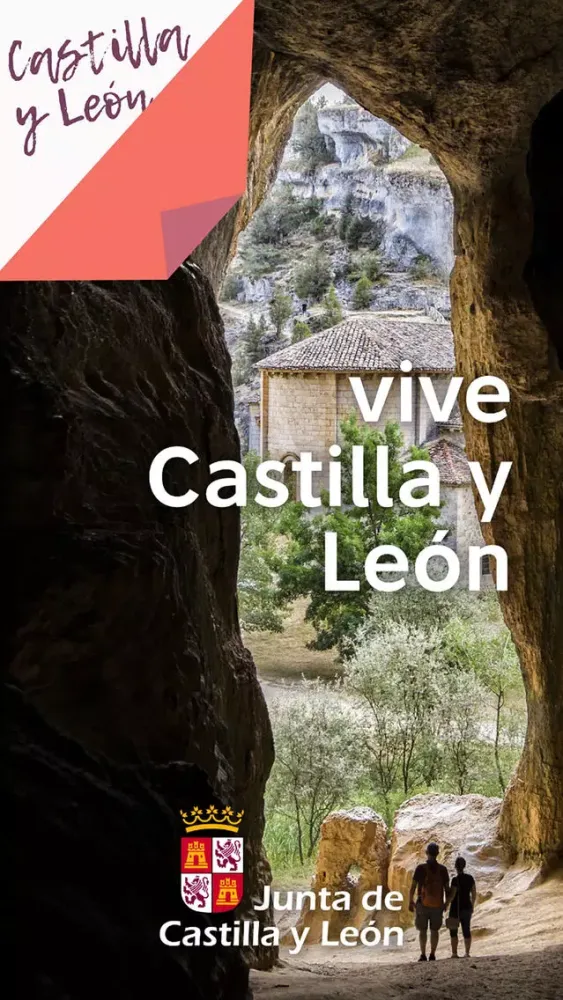 Vive Castilla y León應用截圖