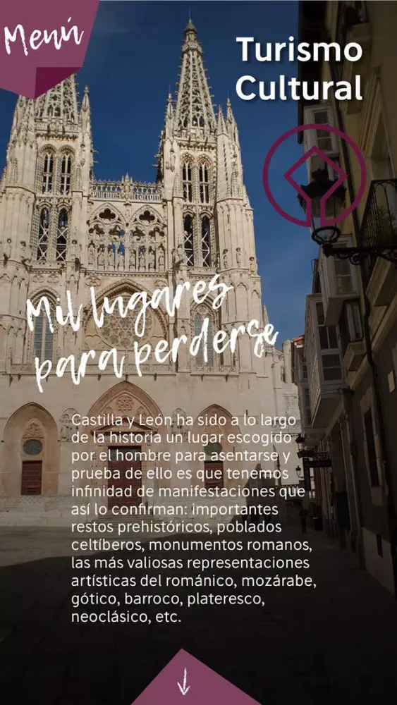 Vive Castilla y León應用截圖