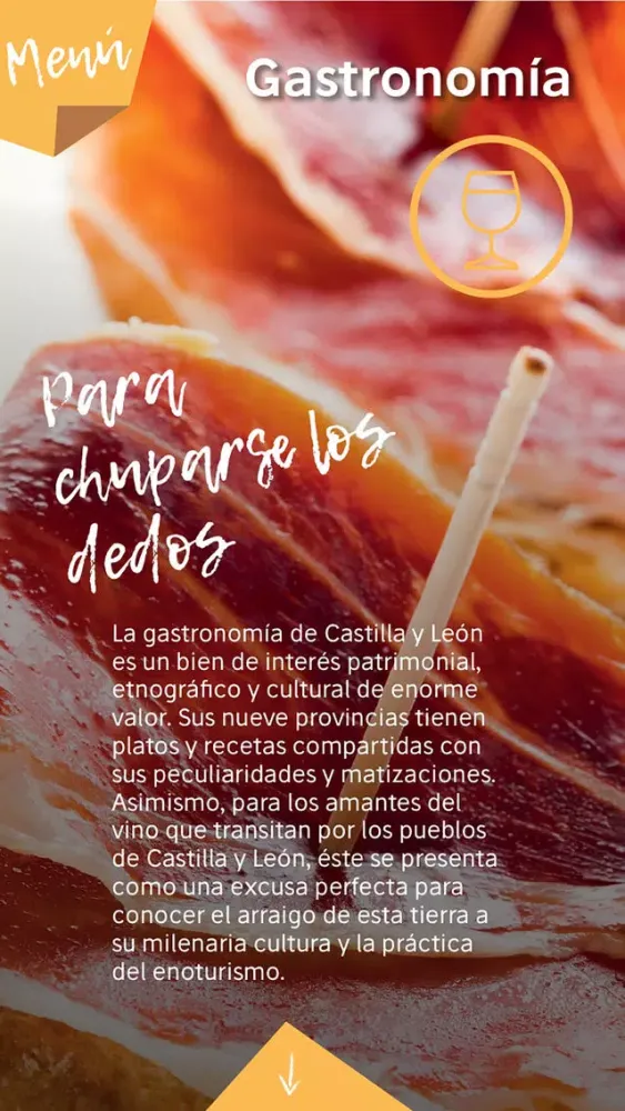 Vive Castilla y León應用截圖