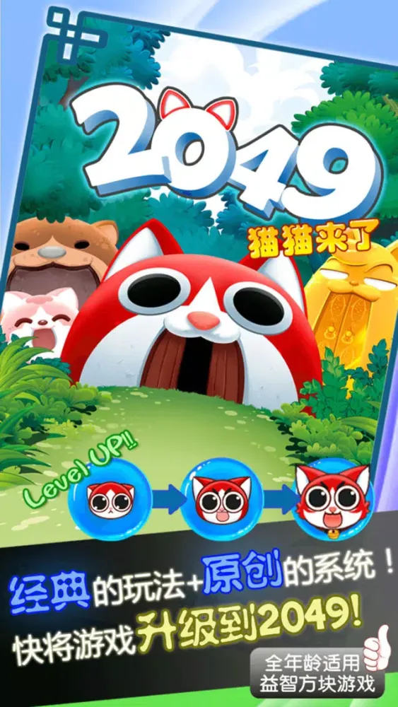 صور 2049猫猫来了