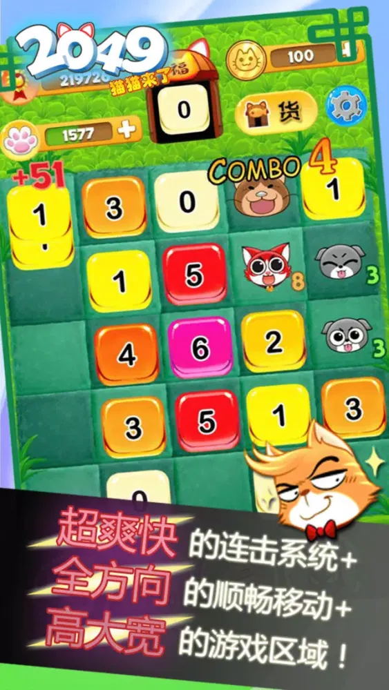 صور 2049猫猫来了