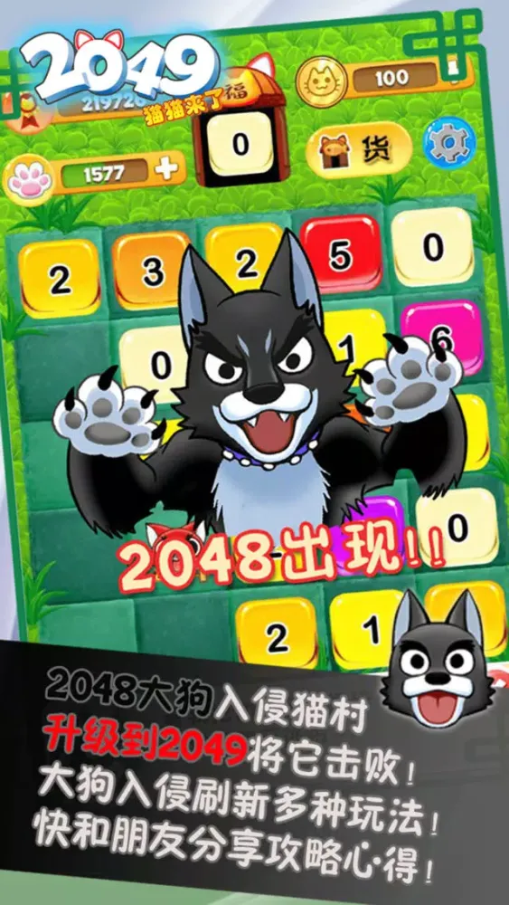 صور 2049猫猫来了